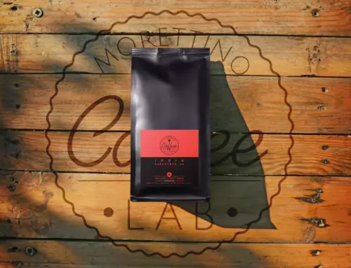Nuovi blend di caffè macinato fresco e monorigini speciali: nasce la micro roastery “Morettino Coffee Lab”