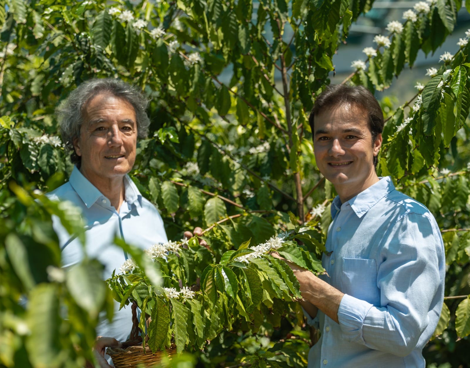 Arturo e Andrea Morettino nella piantagione di caffè in Sicilia